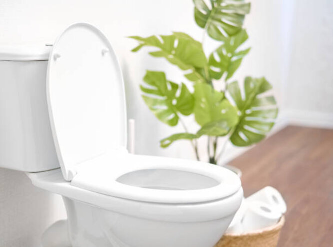 One-piece or single-piece toilets