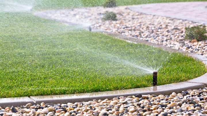 pop-up sprinkler