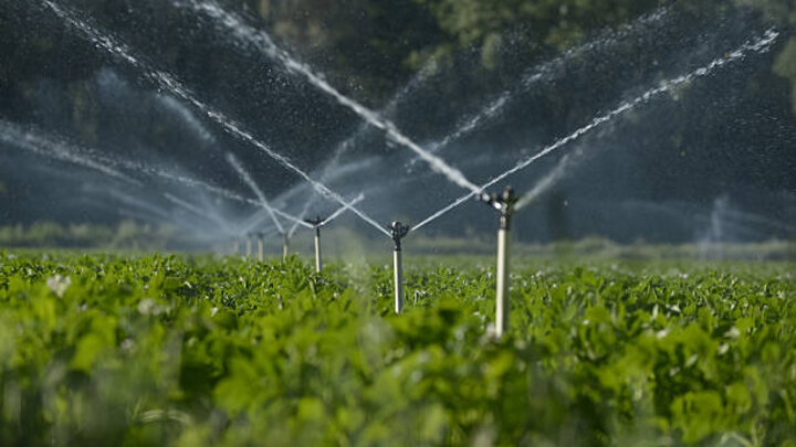 rotary sprinkler