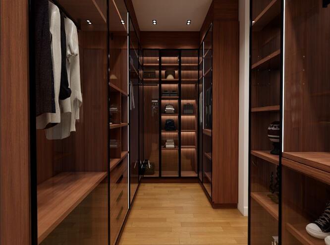 Bedroom Walk-in Closet