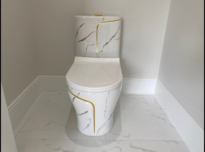 Toilet-2