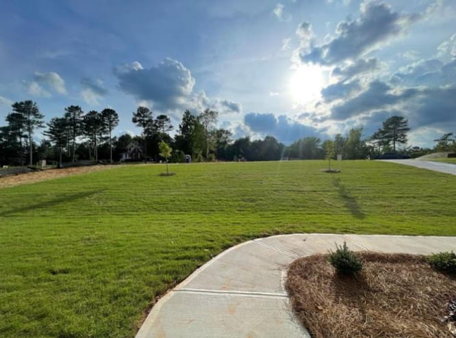 land-view